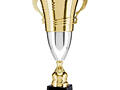 Предлагаем Вам спортивно-наградную продукцию в ассортименте-кубки.