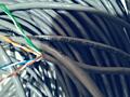 Продается кабель витая пара, UTP, 4PR, 24AWG