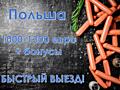 Вакансия в Европе с высокой заработной платой.