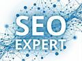 SEO продвижение для интернет магазинов и крупных проектов