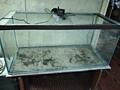 Продам два аквариума