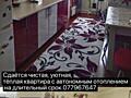 Сдается уютная квартира на Западном