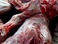 Продам мясо телятина