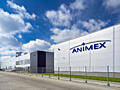 Завод Animex!
