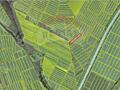 De vânzare: Teren agricol 12,7 ari – Grătiesti