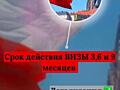 Получите шенгенскую визу быстро и без проблем! Путешествуйте свободно!