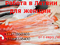 Требуются Женщины на рыбное производство, работа на линии. Латвия