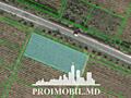 Spre vânzare se oferă teren agricol, situat în Criuleni, com. ...