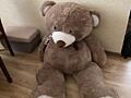 Продается большой медведь