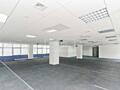 Se oferă spre chirie oficiu cu o suprafață de 250 m.p., situat pe bd. 