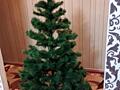 Продам ёлку 1.6м