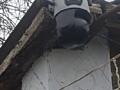 Продам камеру видео наблюдение