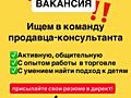 Продавец-консультант