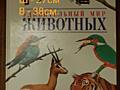 УДИВИТЕЛЬНЫЙ МИР ЖИВОТНЫХ