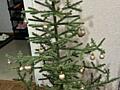 Продам недорого советскую Елку в отличном состоянии