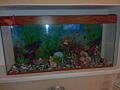 Продам аквариум