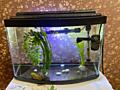 Аквариум в отличном состоянии
