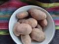 Продам домашний картофель Ред Скарлетт (не полевой)
