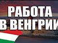 Предлагаем работу в Венгрии