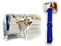 Поводок для собак, Pet Store, 120 см/ 50 кг