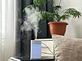 Увлажнитель воздуха