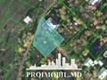 Spre vânzare se oferă teren pentru construcții, situat în Dumbrava. ..