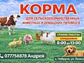 Продам КОРМА