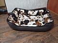 Лежанка для собаки