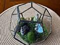 Флорариум с искусственным декором