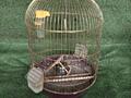 Продам клетку для попугая. Цена - 150 рублей