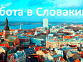 Работа в Словакии!