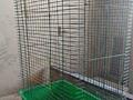 Клетки для животных и птиц б/у