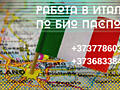 РАБОТА В ИТАЛИИ ПО БИО ПАСПОРТУ
