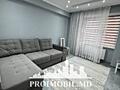 Spre chirie se oferă apartament în sect. Centru, str. Nicolae ...