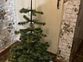 Продам советскую ёлку (Клинская лыжная фабрика), высота 1 м