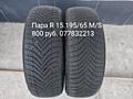 Пара R 15.195/65M/S