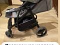 Прогулочная коляска Carello bravo