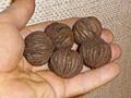 Американский Черный орех (Juglans nigra). Nuc NEGRU American.