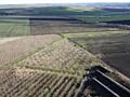Teren Agricol, 1.14 ha, 10 km de Chișinău