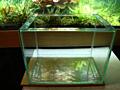 Продам готовые аквариумы. 130л, 65л.