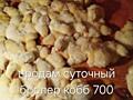 Продам двухнедельный бройлер кобб 700