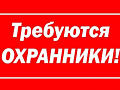 Охранники. Полный соцпакет.