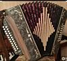Продам гармошку