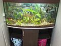 Продам заводской аквариум 220л