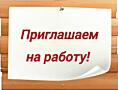 Новая фирма в поисках сотрудников