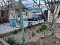 Продам дом в Терновке СОБСТВЕННИК