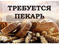 Требуется пекарь