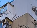 Утепление фасада. Высотные работы.