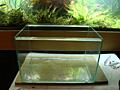 Продам готовый аквариум. 35л