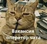 Никаких звонков, только чат! Оператор чата.